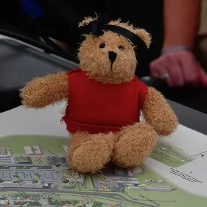 CJ12 2292 Media centre mascot CJ12 2292 Media centre mascot