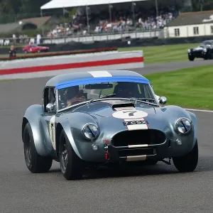 CJ13 1308 AC Shelby Cobra CJ13 1308 AC Shelby Cobra