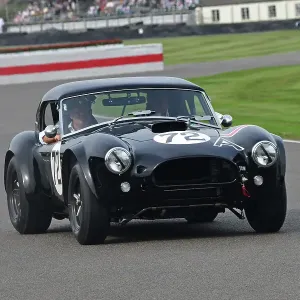 CJ13 1313 AC Cobra CJ13 1313 AC Cobra