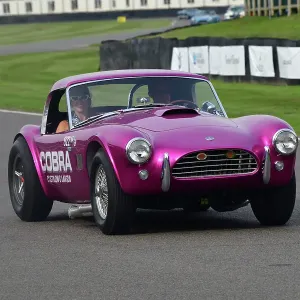 CJ13 1323 AC Cobra, Dragonsnake CJ13 1323 AC Cobra, Dragonsnake