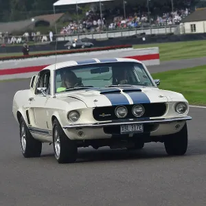 CJ13 1329 Les Searle, Des Searle, Ford Shelby Mustang GT500 CJ13 1329 Les Searle, Des Searle, Ford Shelby Mustang GT500