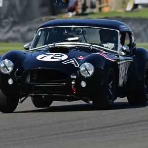 CJ13 2710 David Brabham, Brian Caudwell, AC Cobra CJ13 2710 David Brabham, Brian Caudwell, AC Cobra