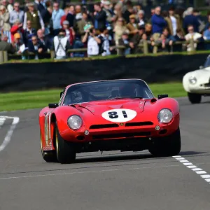 81st Goodwood Members Meeting Collection: Graham Hill Trophy