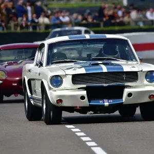 CJ13 5403 John Hugenholtz, Ford Shelby Mustang GT350 CJ13 5403 John Hugenholtz, Ford Shelby Mustang GT350