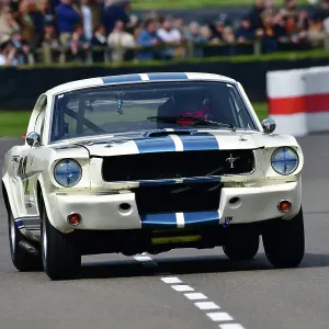 CJ13 5405 James Alexander, Ford Shelby Mustang GT350 CJ13 5405 James Alexander, Ford Shelby Mustang GT350