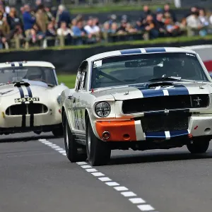 CJ13 5424 Nick Sleep, Ford Shelby Mustang GT350 CJ13 5424 Nick Sleep, Ford Shelby Mustang GT350