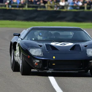 81st Goodwood Members Meeting Collection: Surtees Trophy