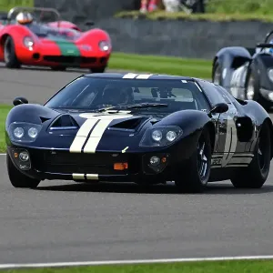 CJ13 6115 Alex Brundle, Ford GT40