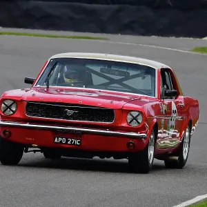CJ13 6247 John Davison, Mike Rockenfeller, Ford Mustang