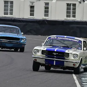 CJ13 6252 Tom Kristensen, Jac Meeuwissen, Ford Mustang