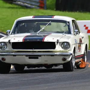 CJ13_9594 Michael Whitaker Jnr, Ford Mustang.jpg