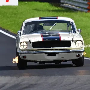 CJ13_9610 Michael Whitaker Jnr, Ford Mustang.jpg