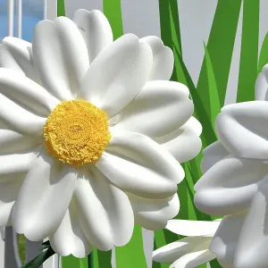 CJ14 2613 Big white daises CJ14 2613 Big white daises