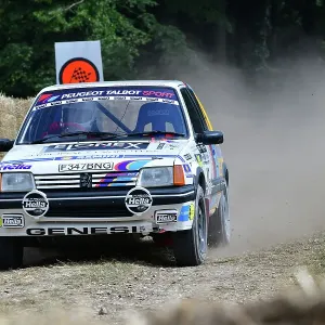 CJ14 3149 Tom Williams, Peugeot 205 GTi CJ14 3149 Tom Williams, Peugeot 205 GTi