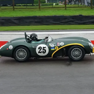 CJ14 8003 Mathias Sielecki, Aston Martin DB3S CJ14 8003 Mathias Sielecki, Aston Martin DB3S