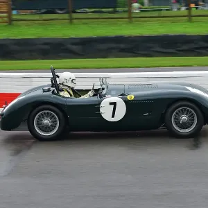 CJ14 8010 Nicolas Bert, Jaguar C-Type CJ14 8010 Nicolas Bert, Jaguar C-Type