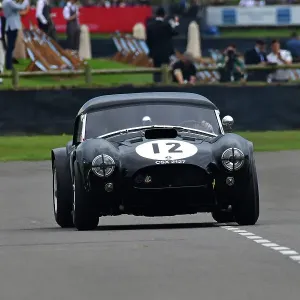 CJ14_8483 Nicolas Minassian, Ludovic Caron, Shelby Cobra.jpg CJ14_8483 Nicolas Minassian, Ludovic Caron, Shelby Cobra.jpg