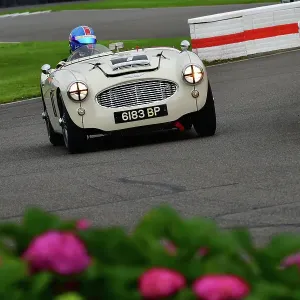 CJ14 8736 Tim Crighton, Austin Healey 100-6 CJ14 8736 Tim Crighton, Austin Healey 100-6