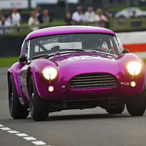 CJ14 9331 Andrew Jordan, Tom Hartley Jnr, AC Cobra Dragonsnake CJ14 9331 Andrew Jordan, Tom Hartley Jnr, AC Cobra Dragonsnake
