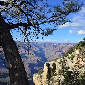 CJ3 3815 Grand Canyon vista