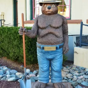 CJ3 4007 Smokey the Bear CJ3 4007 Smokey the Bear