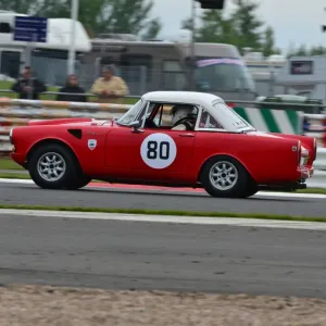 Sunbeam Tiger Print Sunbeam Tiger Print