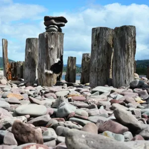 CJ3 8297 Porlock Weir, Beach with pebbles