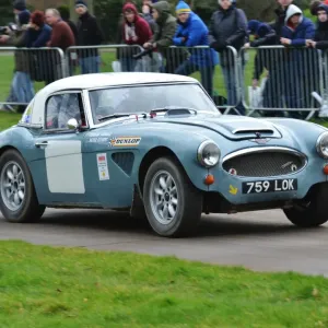 Austin Healey 3000 Print