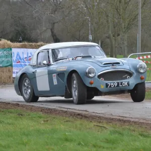 Austin Healey 3000 Rally Car Print