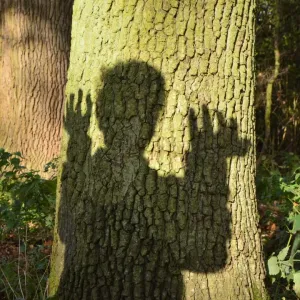CJ5 6643 Spooky tree CJ5 6643 Spooky tree