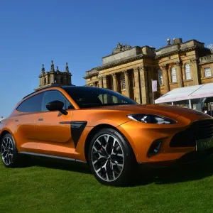 Aston Martin DBX Print, Blenheim Palace