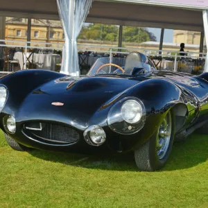Jaguar D-Type Print, Blenheim Palace