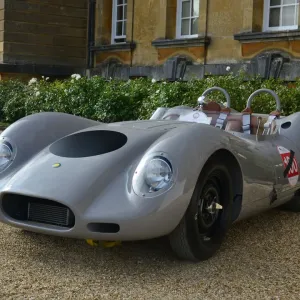 Lister Knobbly Long Wing Continuation Print