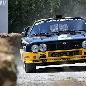 Goodwood Festival of Speed 2021 Photographic Print Collection: Forest Rally Stage