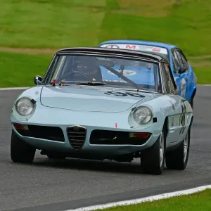 CJ9 3977 Anthony Ross, Alfa Romeo 1750 Spider
