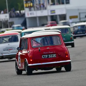 Mini Coopers Print, Goodwood Revival 2021