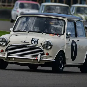 Goodwood Revival 2021 Print - Darren Turner in Mini Cooper S