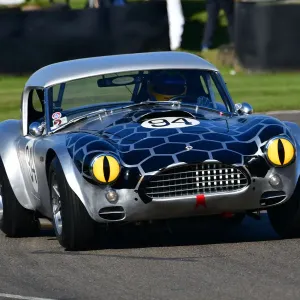 CJ9 8868 Martin Brundle, Bobby Verdon-Roe, AC Cobra CJ9 8868 Martin Brundle, Bobby Verdon-Roe, AC Cobra