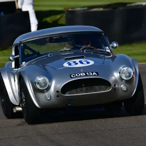 CJ9 8875 Marino Franchitti, Phillip Kadoorie, AC Cobra CJ9 8875 Marino Franchitti, Phillip Kadoorie, AC Cobra