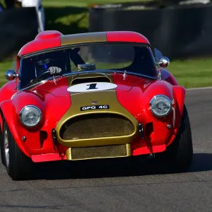 CJ9 8877 Oliver Bryant, Darren Turner, AC Cobra CJ9 8877 Oliver Bryant, Darren Turner, AC Cobra