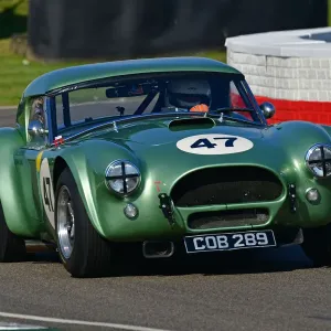 CJ9 8887 Bill Shepherd, Romain Dumas, AC Cobra CJ9 8887 Bill Shepherd, Romain Dumas, AC Cobra