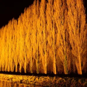 CJM 0132 Winter Lights CJM 0132 Winter Lights
