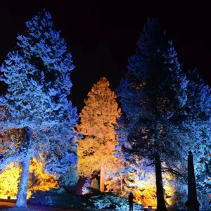 CJM 0167 Winter Lights CJM 0167 Winter Lights