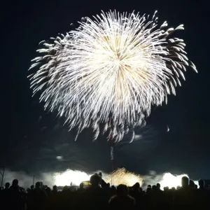 CM1 2067 Firework display CM1 2067 Firework display