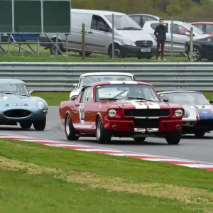 CM1 6860 Chas Mallard, Shelby Mustang GT350, OPF 4 E CM1 6860 Chas Mallard, Shelby Mustang GT350, OPF 4 E