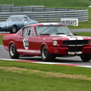 CM1 6900 Chas Mallard, Shelby Mustang GT350, OPF 4 E CM1 6900 Chas Mallard, Shelby Mustang GT350, OPF 4 E