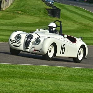 Motorsport 2015 Jigsaw Puzzle Collection: Goodwood Revival 2015