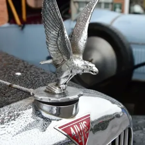 CM11 7302 Alvis radiator mascot CM11 7302 Alvis radiator mascot