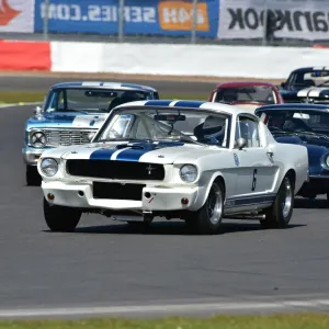 Print of a Ford Shelby Mustang GT350 racing at Silverstone