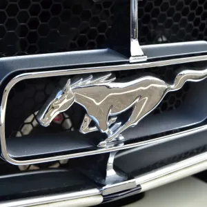 CM12 9914 Ford Mustang CM12 9914 Ford Mustang